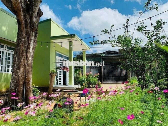 Nhà Phường Lộc Sơn - Bảo Lộc - DT 290m2 (MT14.9m) nở hậu Full thổ cư