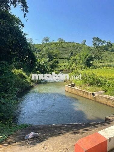 Cần bán gấp lô đất tâm huyết xây nghỉ dưỡng View suối tự nhiên
