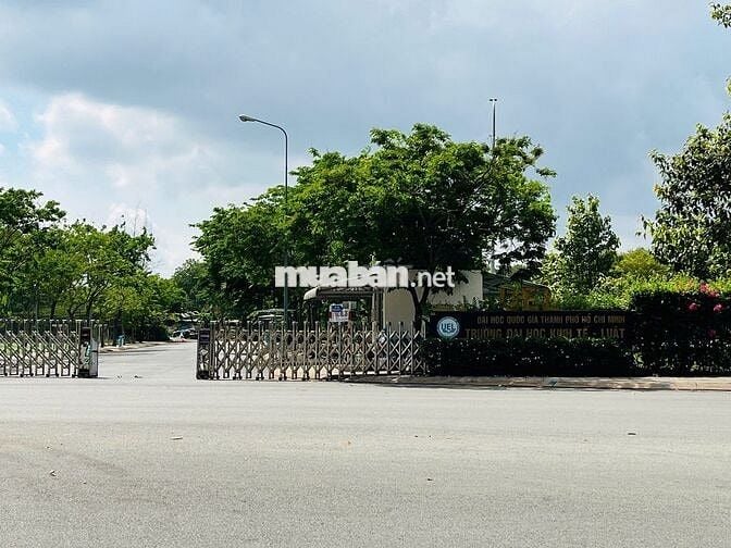 BÁN GẤP 96m2 (5 x 19,2) FULL THỔ, HẺM 5m ĐƯỜNG 11 P.LINH XUÂN