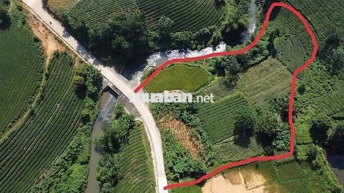 Cần bán gấp lô đất tâm huyết xây nghỉ dưỡng View suối tự nhiên