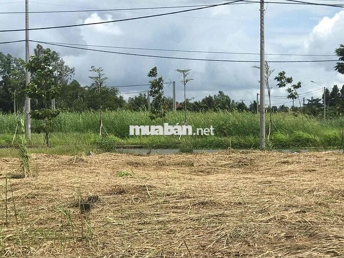 Bán cặp nền đường số 9- Vạn phát Sông Hậu 160m2