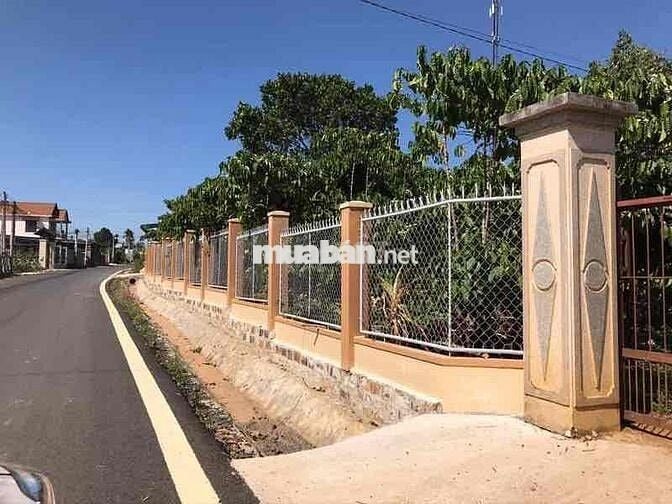 cần bán nhà đất phố phường 3 Bảo Lộc