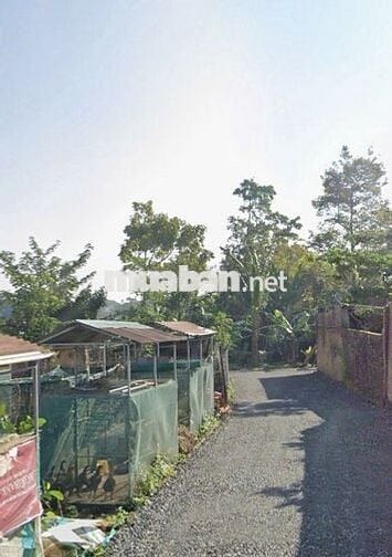 BÁN GẤP LÔ ĐẤT 135M2 - THỔ CƯ 80M2 - NGAY TRUNG TÂM BẢO LỘC