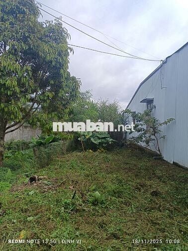 BÁN GẤP LÔ ĐẤT 135M2 - THỔ CƯ 80M2 - NGAY TRUNG TÂM BẢO LỘC