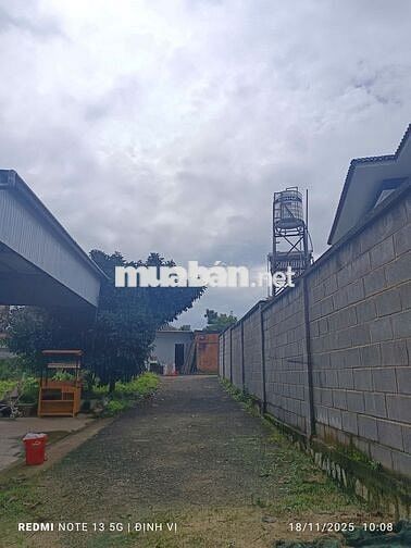 BÁN GẤP LÔ ĐẤT 135M2 - THỔ CƯ 80M2 - NGAY TRUNG TÂM BẢO LỘC