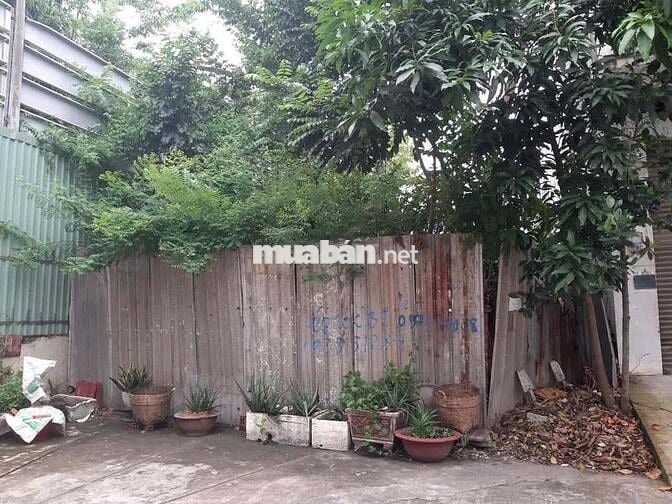 🌺Cần bán đất đường Nguyễn quý Yêm - An lạc . DT : 8m*20m. Giá 12 tỷ TL