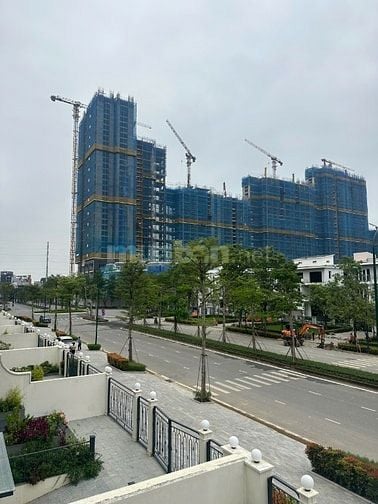 Bán biệt thự khu P Ciputra - KĐT Nam Thăng Long, Tây Hồ, Hà Nội