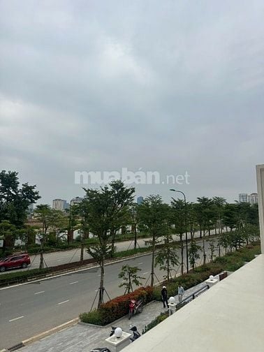 Bán biệt thự khu P Ciputra - KĐT Nam Thăng Long, Tây Hồ, Hà Nội