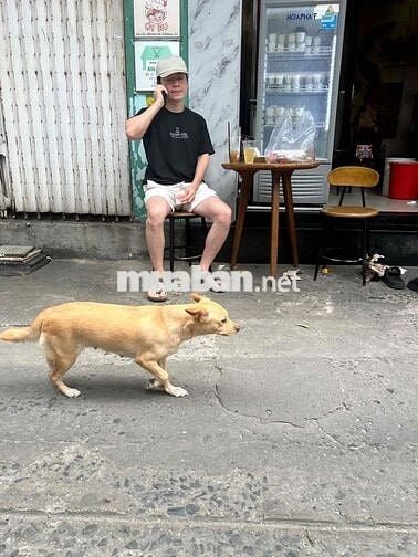 p trọ đường cao thắng q3 gần đh Hoa Sen giá 2tr4