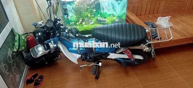 Honda Chaly Xanh dương