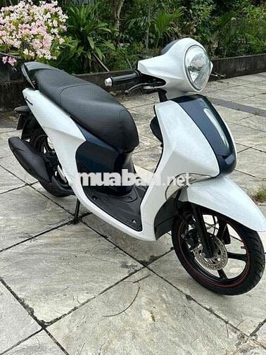 Yamaha Janus 2018 màu Trắng bs79