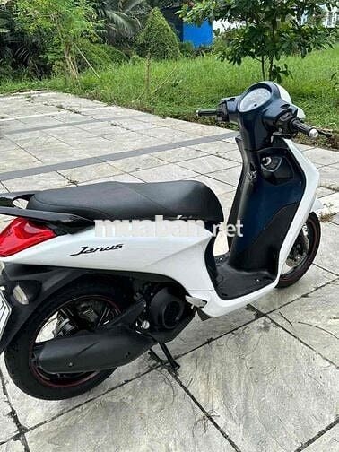 Yamaha Janus 2018 màu Trắng bs79