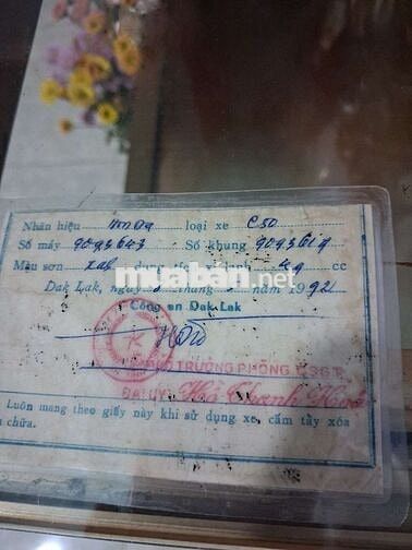 Honda super cup 86-50c