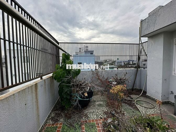 BÁN GẤP NHÀ HẺM 1225 PHẠM THẾ HIỂN, P5, Q8 3 LẦU 1 THƯỢNG DTS 233M