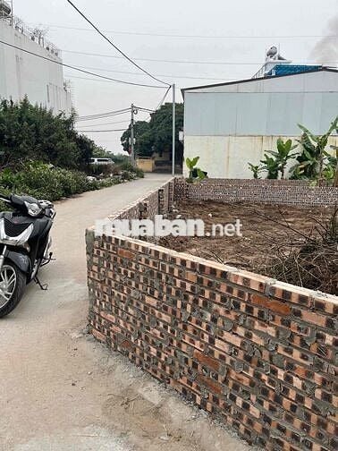 🏢 MẶT PHỐ Ỷ LAN – ĐƯỜNG CONTAINER TRÁNH: 124m², MT 4.5m – đang khai th