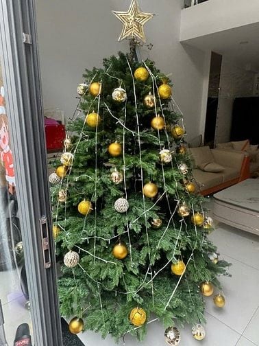 Cần bán cây thông trang trí noen cao 2m