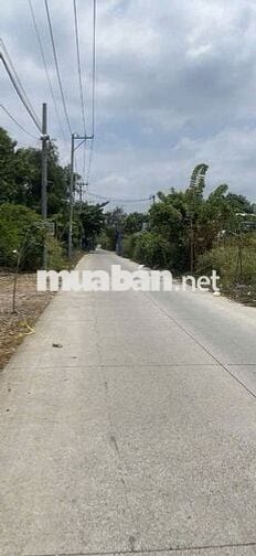 LÔ ĐẤT Mặt Tiền Đường Ông Niệm 1, Xã Phong Phú, Bình Chánh,Hồ Chí Minh