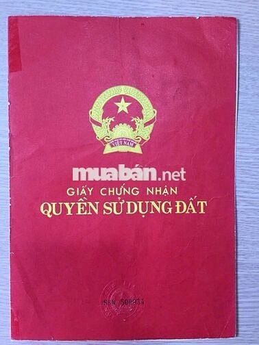 LÔ ĐẤT Mặt Tiền Đường Ông Niệm 1, Xã Phong Phú, Bình Chánh,Hồ Chí Minh