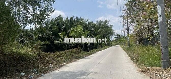 LÔ ĐẤT Mặt Tiền Đường Ông Niệm 1, Xã Phong Phú, Bình Chánh,Hồ Chí Minh