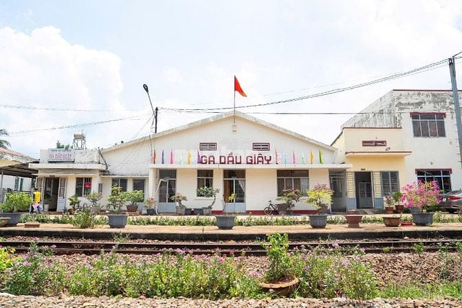 🌟 DẦU GIÂY – ĐIỂM SÁNG ĐẦU TƯ, TIỀM NĂNG TĂNG GIÁ BỨT PHÁ! 🌟