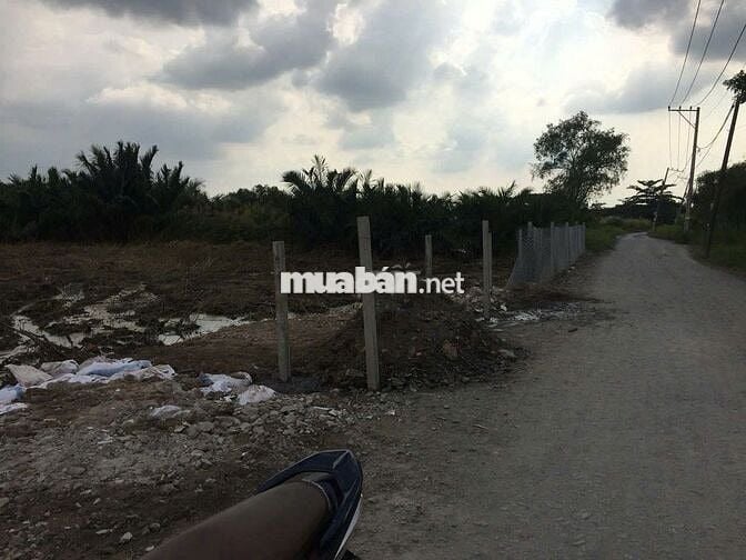 LÔ ĐẤT Mặt Tiền Đường Ông Niệm 1, Xã Phong Phú, Bình Chánh,Hồ Chí Minh