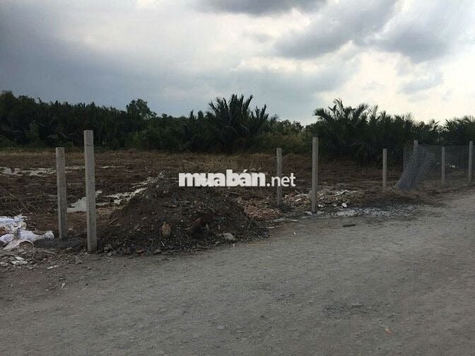 LÔ ĐẤT Mặt Tiền Đường Ông Niệm 1, Xã Phong Phú, Bình Chánh,Hồ Chí Minh