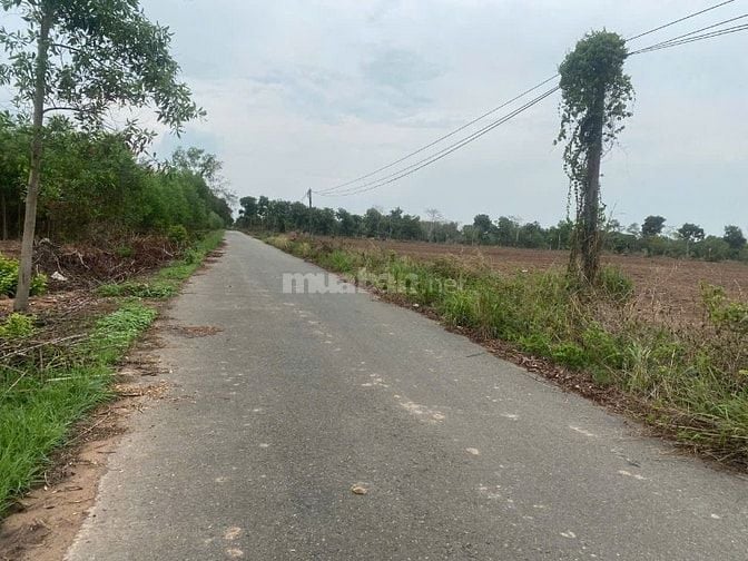 Bán gấp đất thổ nhà vườn Nhơn Trạch giá rẻ 6TR/M, MT đường,kho, xưởng