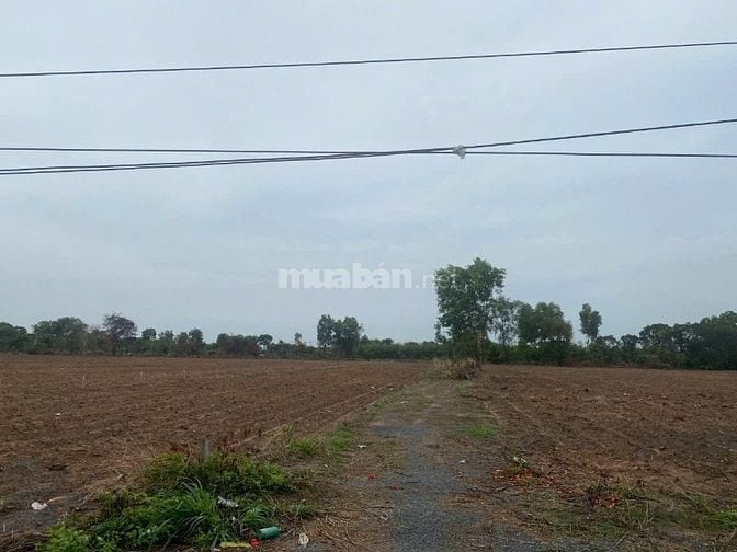 Bán gấp đất thổ nhà vườn Nhơn Trạch giá rẻ 6TR/M, MT đường,kho, xưởng