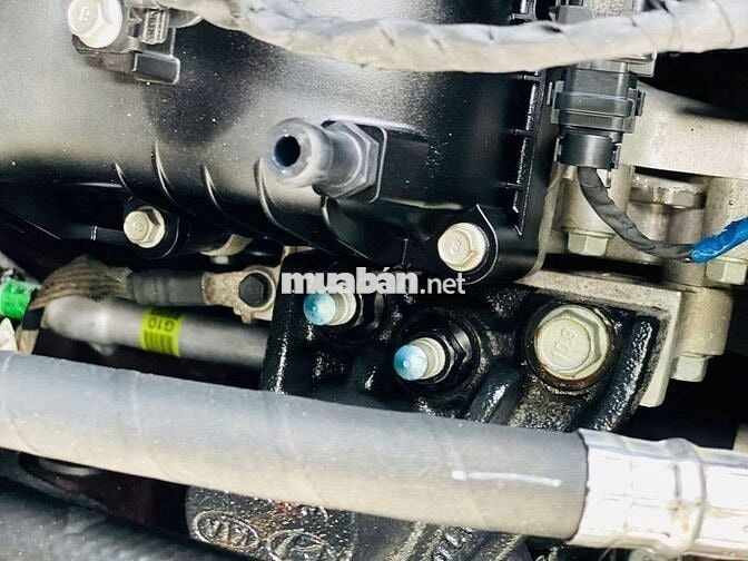 Kia Grand Sedona 2017 1 chủ từ mới