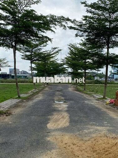 Bán Lô Đất Ngộp Đức Hòa- Long An. Mặt tiền đường DT 823d.