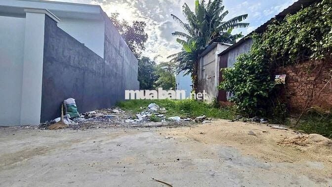 Bán đất hẻm xe tải Tân Hiệp, 6x20m, giá 2.95 tỷ