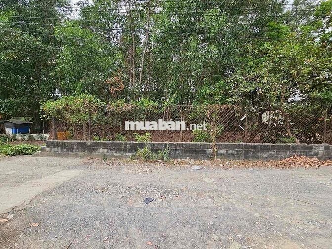 Đất 340m2 xây biệt thự gần đường hai ba trưng, Đông Hoà Dĩ An