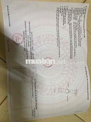 Bán đất Phú Mỹ đường xem hơi DT 140m ngay trung tam TPM