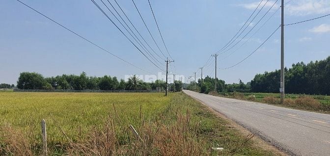 Mặt tiền TL7, Thái Mỹ gần sân Golf West Lake, thổ cư 10.7tr/m