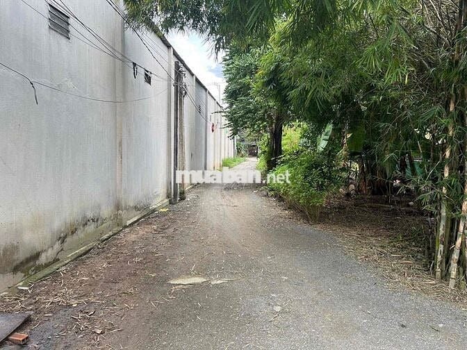 Bán đất tại Phường Phú Chánh, TP. Tân Uyên, tỉnh Bình Dương, giá 2.6