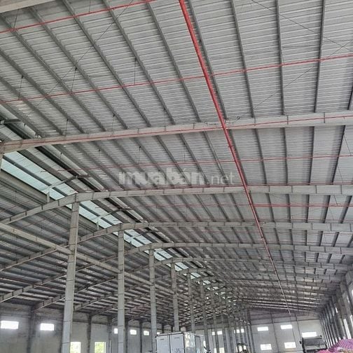 Bán gấp kho xưởng trong KCN Đức Hòa , Long An,KV: 5.200m2, XD: 3.600m2