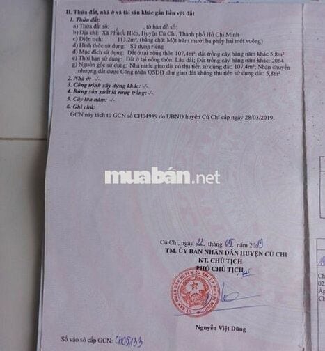 NGỘP đất đường 1/ BaSa, xã Phước Hiệp Củ Chi, DT 113m2, SHR 1 tỷ 050