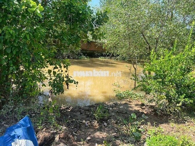 Nền 459 Triệu Xe Ô tô Tới Đất Cách KCN BÌNH MINH 10 phút