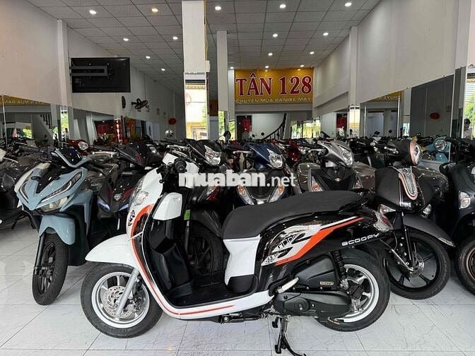 SCOOPY 2019. Xe Zin Êm Đẹp. Odo Thấp. Chủ RG
