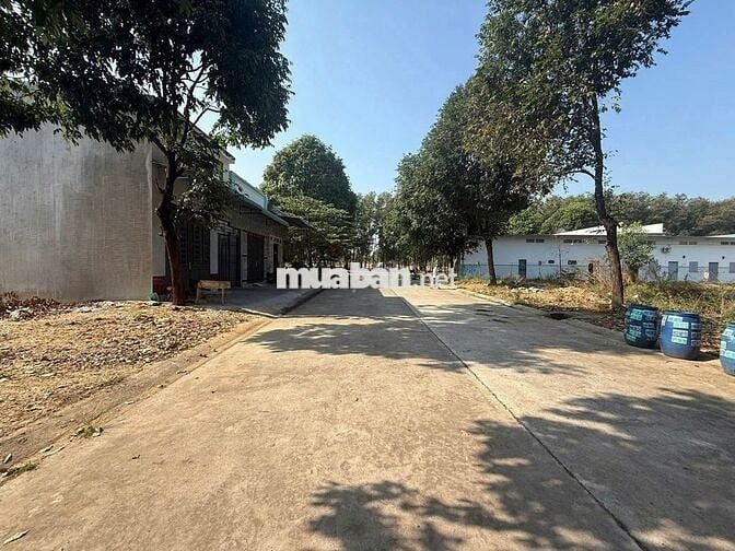 Bán gấp lô đất trung tâm Thị Trấn Củ Chi – 6mx26m, tiện ích đầy đủ