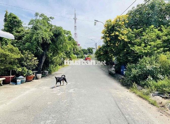 Bán Đất Thổ Cư 138m - Mặt Tiền Đường Vũ Duy Trí, Củ Chi, Giá Tốt (TL).