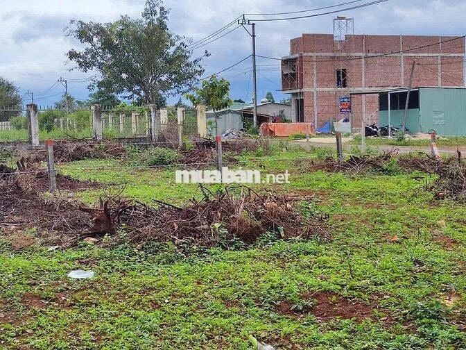 Lô góc 2 mặt tiền Lý Chính Thắng