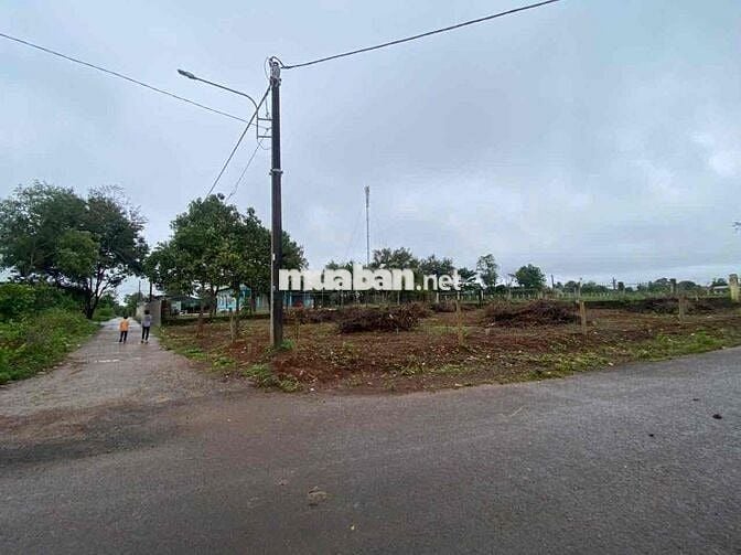 Lô góc 2 mặt tiền Lý Chính Thắng