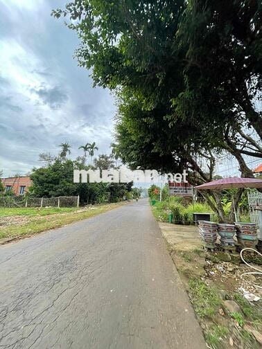 Thổ Cư Sổ Riêng 870tr Trung Tâm Phường Bình lộc Long Khánh