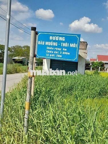 Đất thổ cư full 218m² – Sổ riêng – Hòa Khánh Đông, Đức Hòa