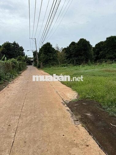 Bán gấp 140m2 thổ cư sổ riêng đất Long Khánh,Đồng Nai, kcn Suối Tre