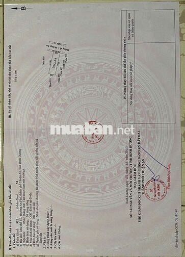 bán lô đất Đ số 1 KDC triệu hoàng long P an phú. Tp :Thuận An .