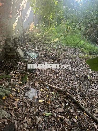 Tôi có miếng đất thổ cư 83m2 tại Xuân Phương Hà Nội đang cần bán gấp.