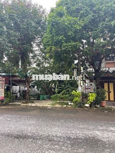 Đoàn Khuê 101,5m2 Đông bắc, Đường 11m5 lề 5m