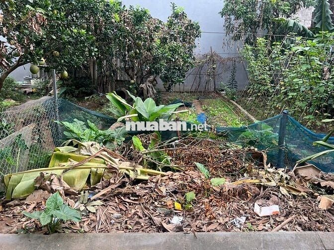 TÀI CHÍNH NHỎ DỄ THANH KHOẢN ĐẤT HẢI BỐI ĐÔNG ANH 48M THỔ CƯ 4.37 tỷ